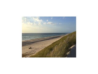 Ferienhaus Neukirchen in Nordfriesland Umgebung 31