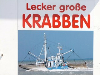Vakantiehuis Neukirchen in Nordfriesland  35