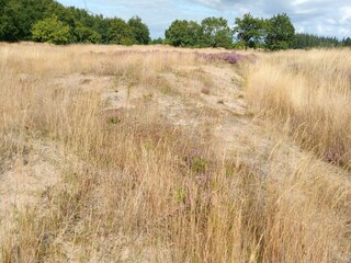 Vakantiehuis Neukirchen in Nordfriesland Omgeving 28
