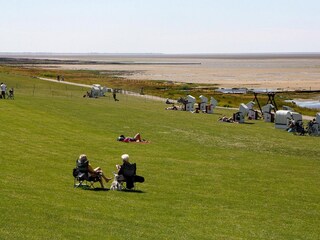 Holiday house Neukirchen in Nordfriesland  36