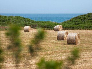 Villa Cisternino Environnement 25