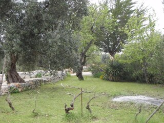 Villa Cisternino Entorno 20