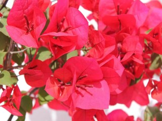 Villa Cisternino Entorno 26