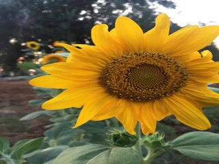 Villa Cisternino Entorno 27