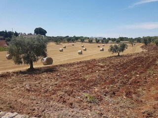 Villa Cisternino Ambiente 18