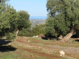 Villa Cisternino Ambiente 19