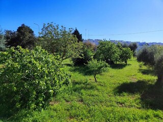 Villa Cisternino Environnement 20