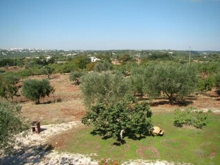 Villa Cisternino Environnement 25