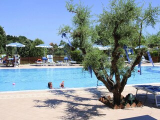 Vakantiepark Vada Buitenaudio-opname 6