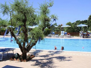 Vakantiepark Vada Buitenaudio-opname 7