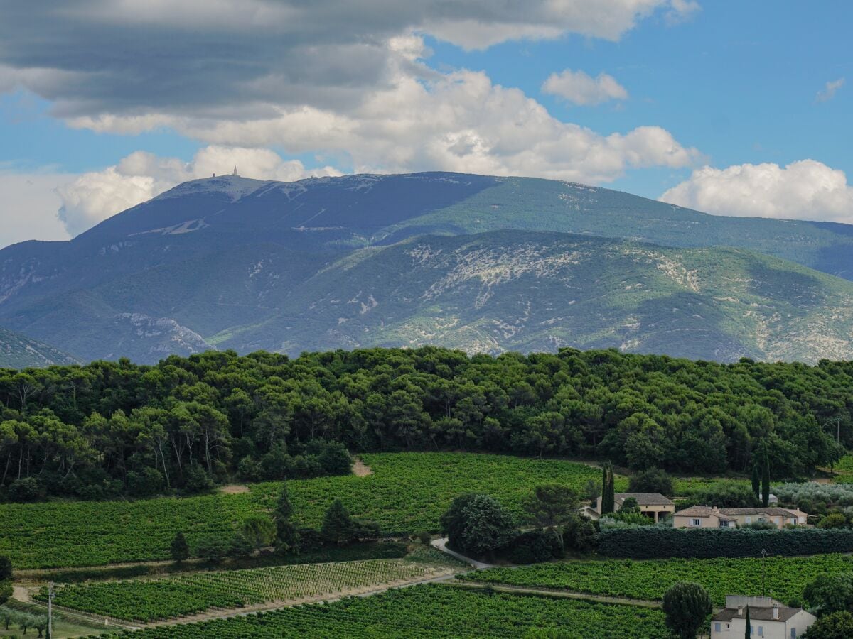 Blick von Terrasse auf Mont Ventoux