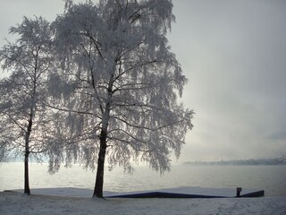 Appartamento per vacanze Zell am See Ambiente 20