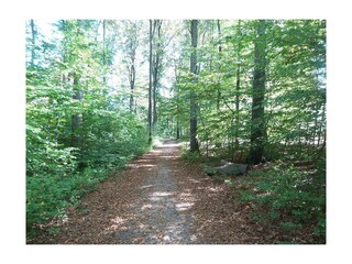 Wanderwege Ehlscheid