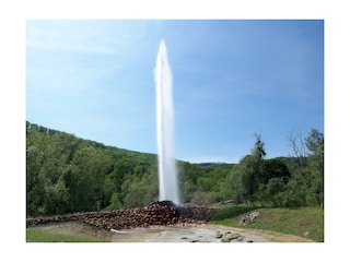 Geysir Andernach