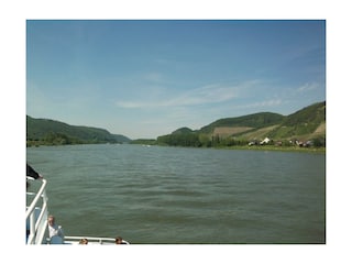 Rhein