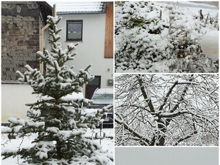Winter in Oberraden