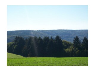 Umgebung Ehlscheid