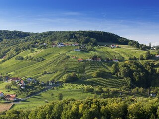 Vulkanlandblick von der Aussichtswarte