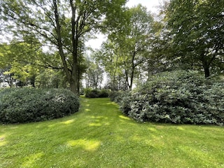 Parkanlage