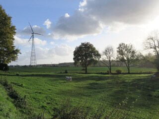 Wiese vor dem Hof