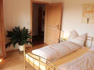 Appartamento per vacanze Eggelsberg Caratteristiche 13