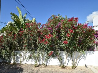 Maison de vacances Sant Jordi de Ses Salines Enregistrement extérieur 7
