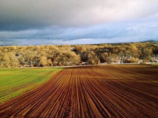 Appartement Welt Environnement 31