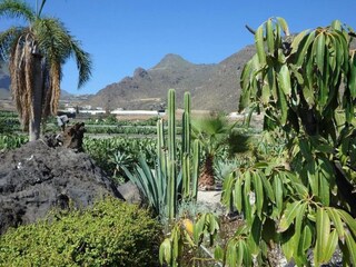 Vakantiehuis Puerto de Santiago Omgeving 31