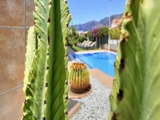 Casa de vacaciones Puerto de Santiago Grabación al aire libre 11