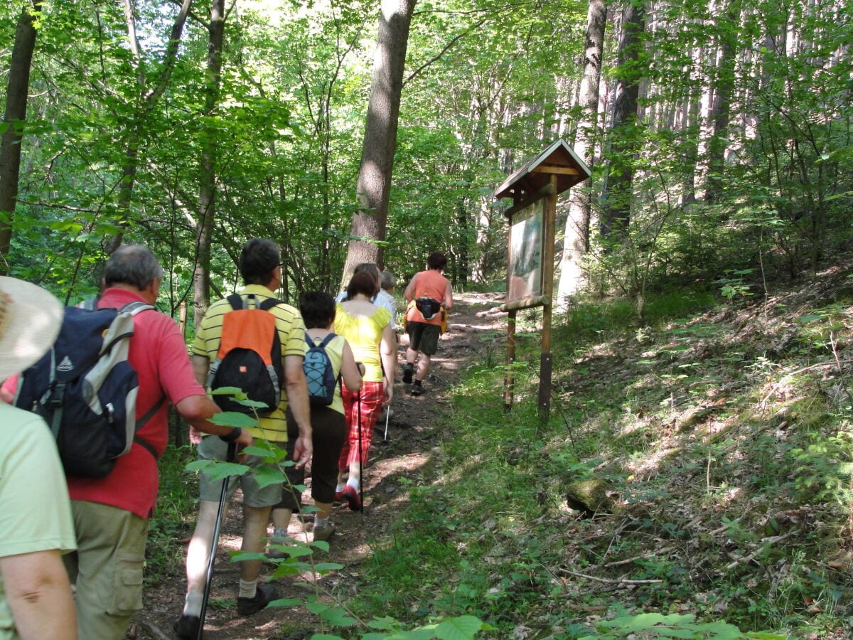 Wanderung auf dem Bienen und Naturlehrpfad