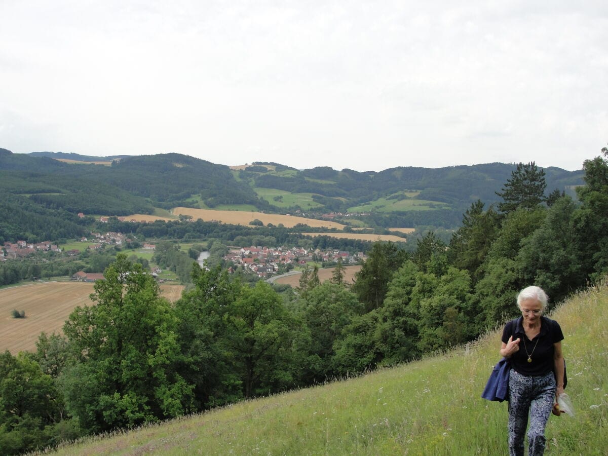 Wanderung  auf der Bergwiese