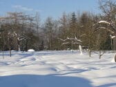 Garten im Winter