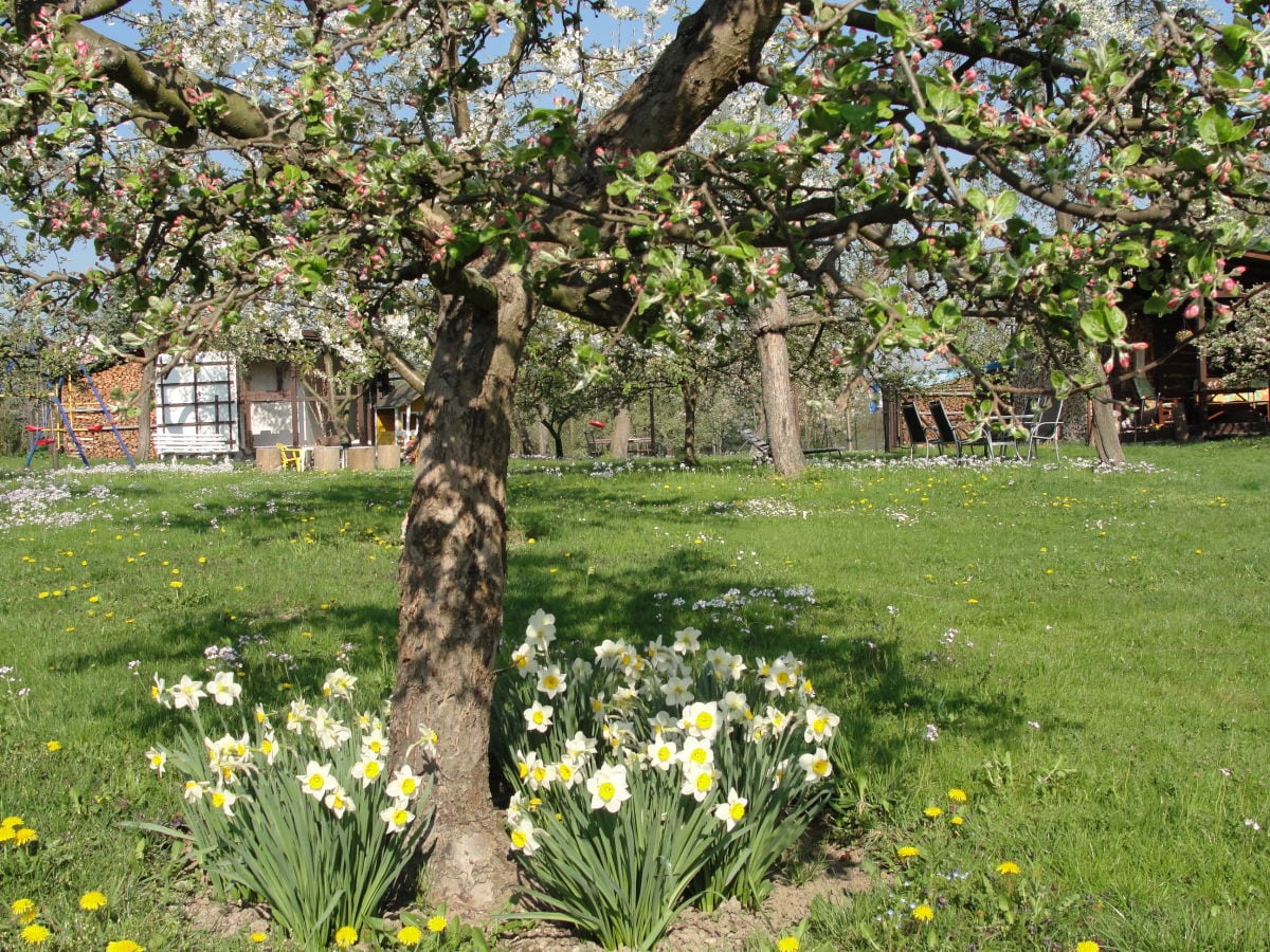 Frühlingsblick