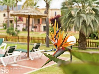Apartment Pula auf Sardinien Außenaufnahme 17