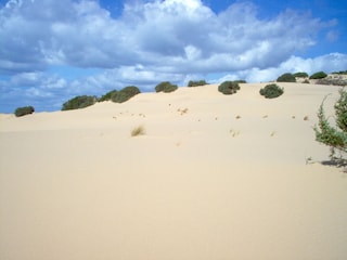 Appartement Pula auf Sardinien Environnement 23