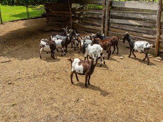 Boerderij Cambiasca  35