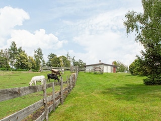 Boerderij Cambiasca  32