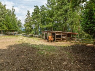 Boerderij Cambiasca  28