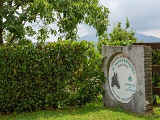 Type de propriété : Ferme Cambiasca  31