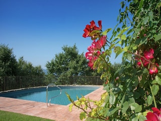 Villa Arezzo (Stadt) Outdoor Recording 1