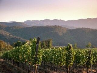 Villa Arezzo (Stadt) Enregistrement extérieur 9