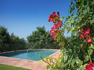Villa Arezzo (Stadt) Buitenaudio-opname 6