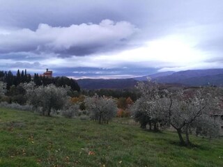 Villa Arezzo (Stadt) Environnement 27