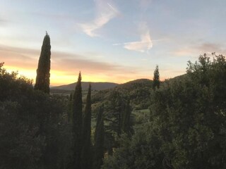 Villa Arezzo (Stadt) Environnement 29