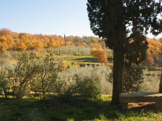 Villa Arezzo (Stadt) Environnement 25