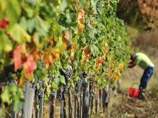 Villa Arezzo (Stadt) Outdoor Recording 6