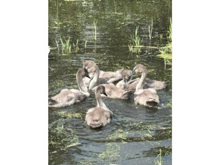 Maison de vacances Ketzin Enregistrement extérieur 7