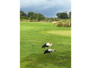 Vakantiehuis Ketzin Buitenaudio-opname 11