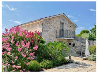 Villa Nenadići Características 25