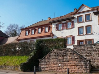 Appartement Ludwigswinkel Enregistrement extérieur 46